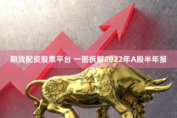 期货配资股票平台 一图拆解2022年A股半年报