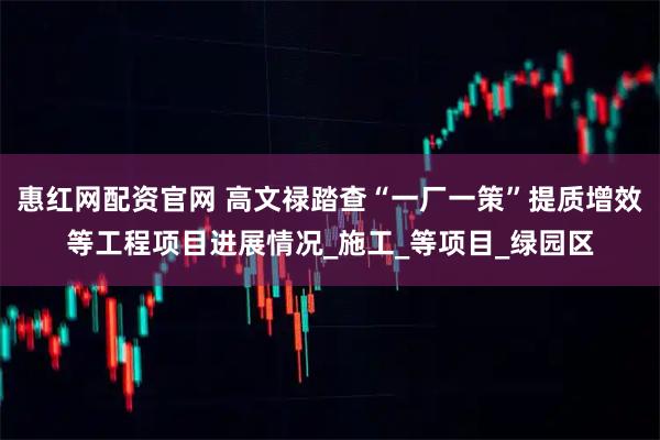 惠红网配资官网 高文禄踏查“一厂一策”提质增效等工程项目进展情况_施工_等项目_绿园区