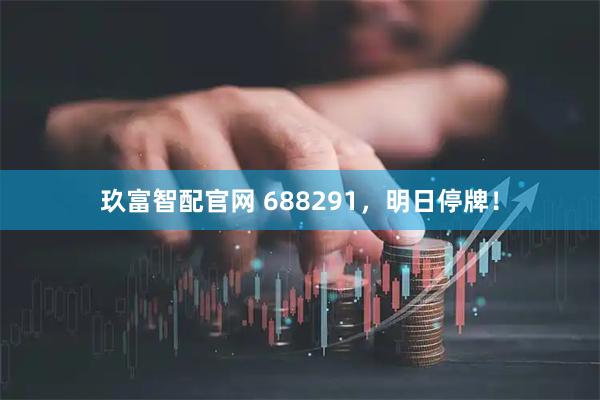 玖富智配官网 688291，明日停牌！