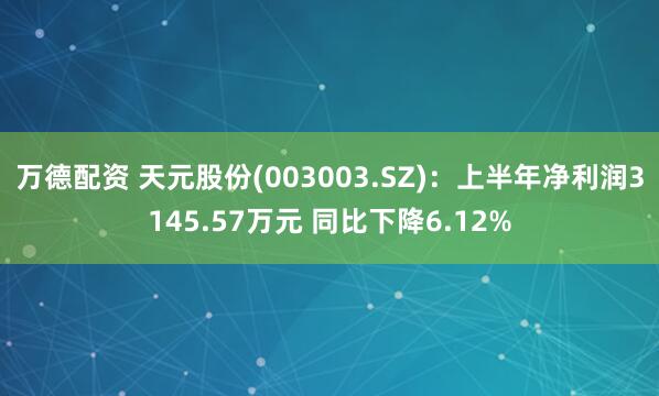 万德配资 天元股份(003003.SZ)：上半年净利润3145.57万元 同比下降6.12%