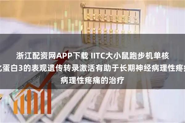 浙江配资网APP下载 IITC大小鼠跑步机单核细胞趋化蛋白3的表观遗传转录激活有助于长期神经病理性疼痛的治疗