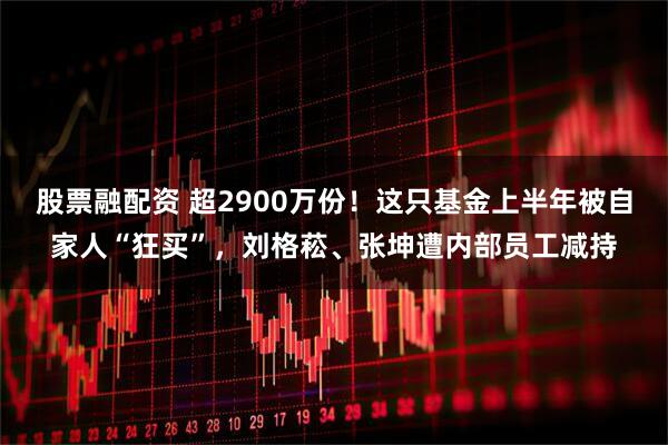 股票融配资 超2900万份！这只基金上半年被自家人“狂买”，刘格菘、张坤遭内部员工减持