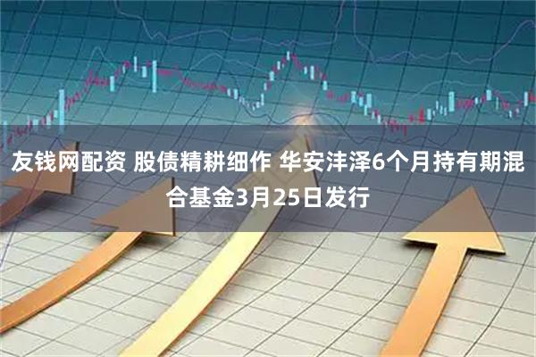 友钱网配资 股债精耕细作 华安沣泽6个月持有期混合基金3月25日发行